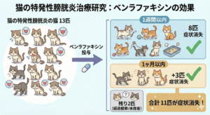 猫の特発性膀胱炎　治療研究