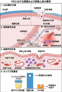 猫の特発性膀胱炎発症メカニズム