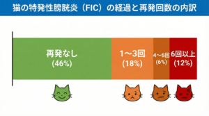 猫の特発性膀胱炎の経過