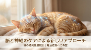 猫の特発性膀胱炎における脳と神経のケア（ベンラファキシン療法）のイメージ。難治症例や再発を繰り返す猫への新しいアプローチを解説。