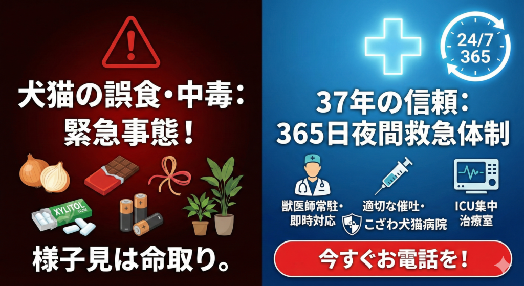 犬と猫の誤食・中毒救急の解説。37年の実績、夜間獣医師常駐、適切な催吐処置、解毒剤完備、ICU集中治療室を備えた救急体制を紹介。玉ねぎ、チョコ、キシリトール等の危険物への警告と、こざわ犬猫病院への即時連絡を促す注意喚起図解。 