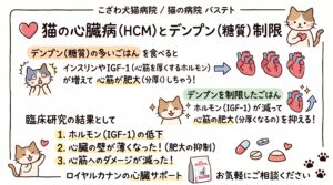 猫の肥大型心筋症(HCM)におけるデンプン制限の有効性と、ロイヤルカナン心臓サポートの臨床研究結果を解説する図解イラスト