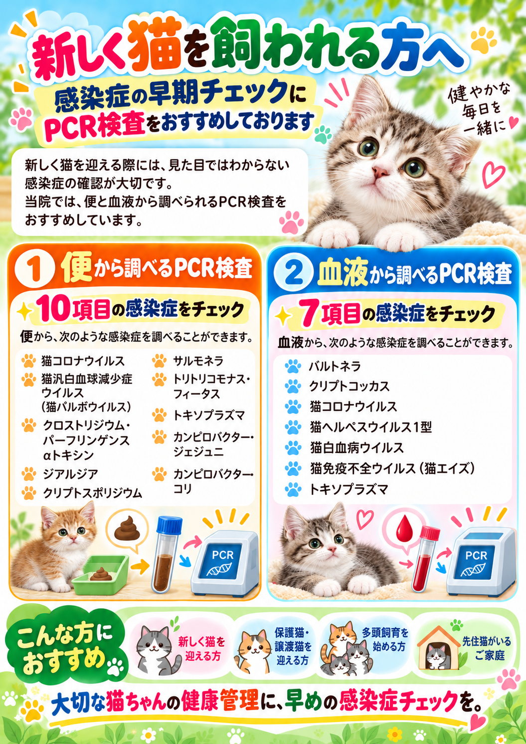 新しく猫を飼われる方へ。便10項目・血液7項目の感染症を調べる猫のPCR検査のご案内